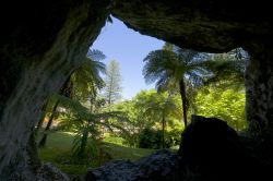 Il lussureggiante giardino di Palazzo da Regaleira a Sintra