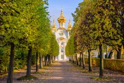 Il viale alberato che conduce al Gran Palazzo a Peterhof, San Pietroburgo, Russia. Una bella immagine del foliage autunnale con sullo sfondo l'edificio in stile barocco costruito fra il ...