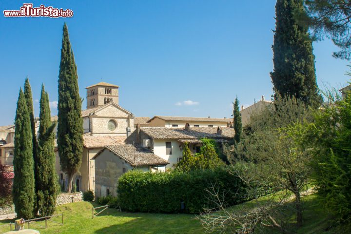 Abbazia di Farfa, Lazio - “Questo è il luogo che ti avevo promesso”. Comincia così la storia dell’abbazia di Farfa, in provincia di Rieti, ed ha capitoli antichissimi che parlano di uno speciale legame fra i luoghi e Carlo Magno che ne fu grande “sponsor” e che le concesse innumerevoli privilegi, facendone una delle abbazie più potenti del Medioevo. L'origine dell'abbazia, secondo i più recenti scavi condotti dalla British School di Roma, risale ad una zona già considerata sacra, prima in epoca romana e poi longobarda. Del VlI secolo d.C. sarebbe la fondazione vera e propria di un centro di fede, ad opera di Tommaso di Moriana che viveva a Gerusalemme, ma in sogno fu consigliato dalla Madonna di edificare nella zona della Sabina un importante luogo di culto. Grazie alla protezione dei duchi di Spoleto, Farfa divenne un’abbazia imperiale, svincolata dal controllo pontificio cui restava comunque vicinissima. Carlo Magno stesso, poche settimane prima di essere incoronato, visitò l’abbazia e vi sostò lasciando in eredità anche molti tesori. Nel terzo decennio del IX secolo, sotto l'Abbate Ingoaldo, Farfa arrivò a possedere una nave commerciale esentata dai dazi dei porti dell'impero carolingio. Sempre a questo periodo risale l’ampliamento massimo del monastero. La decadenza dell'Impero carolingio e la penetrazione dei Saraceni furono fatali a Farfa. Intorno all’anno mille, nella lotta per le investiture Farfa si schiera contro i Papi e a favore di Enrico IV con la conseguenza che, nel 1097, i monaci decidono, per motivi di sicurezza, di trasferire il complesso abbaziale sulle cime del monte Acuziano, dove ancora oggi sono visibili le imponenti rovine dell’opera. Infine il Concordato di Worms (1122) segnerà il passaggio del monastero all’autorità pontificia, inserendo le sorti di Farfa nel solco di altre abbazie. Dal 1921 la struttura appartiene alla comunità benedettina di San Paolo fuori le mura. Le sue pietre sono ancora ricche di testimonianze antiche di un grande passato, fin dalle mura esterne degli edifici fra evidenze paleocristiane e romaniche. La visita si completa con la cripta, il chiostrino longobardo e il grande chiostro, senza tralasciare lo scriptorium e la biblioteca dotata di oltre 45 mila volumi fra cui alcuni codici miniati.

INFO: www.abbaziadifarfa.it Visite 10- 13 e 15-18.30 Tel. 0765 277065