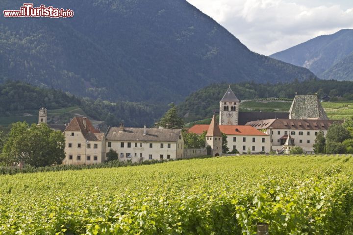 Abbazia di Novacella, Alto Adige - “Vivete insieme in armonia tra di voi, come un’anima sola e un cuore solo camminando verso Dio. Andate nel mondo, raccoglietevi in Dio”. Così suggeriva Sant’Agostino e all’abbazia della Novacella, nel cuore del Tirolo italiano, lo hanno preso in parola, portando ancora oggi avanti, dopo secoli, la sua “regola”. L’abbazia dei canonici agostiniani di Novacella, ha più di 850 anni – fu fondata nel 1142 dal beato Artmanno, vescovo di Bressanone - è fra le più famose e attive del nord Italia ed è stato uno dei più grandi centri di cultura dell’Alto Adige. Uno dei primi compiti di ogni abbazia è quello di assistere i pellegrini e così da sempre si fa a Novacella. Un tempo erano i viandanti diretti a Roma o in Terra Santa, oggi siamo tutti noi. Fra i tesori da scoprire sono la ricca biblioteca, le sue pitture e i vasti appezzamenti di terra che circondano l’abbazia che, recentemente restaurati, ospitano masi, boschi e vigneti. Sì, qui si produce anche il vino: l’altitudine, fra i 600 e i 900 metri, il clima fresco e la terra ricca di minerali sono ideali per lo sviluppo dei tipici vini bianchi della Valle Isarco come il Sylvaner, il Mueller Thurgau, il Kerner e il celebre Gewuerztraminer. Così, a Novacella, una delle meraviglie dei luoghi è proprio la cantina dei monaci che realizzano anche grappe, tisane, succo di mela e creme.

INFO: www.abbazianovacella.it. Visite guidate 9.30 - 17. Euro 7. Tel. 0472 836 189