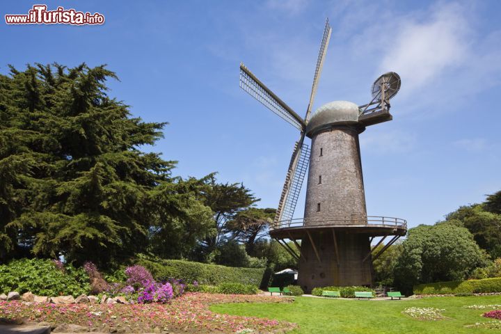 Immagine Il Dutch Windmill di San Francisco, California: datato 1903 il mulino a vento è circondato dai giardini di tulipani di Queen Wilhelmina. Si trova all'interno del Golden gate Park e sieleva ad una altezza di  quasi 23 metri
