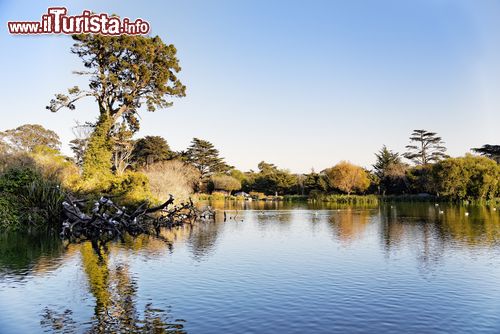 Immagine Il lago Stow lake all'interno del Golden Gate Park di San Francisco (USA)