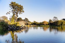 Il lago Stow lake all'interno del Golden Gate Park di San Francisco (USA)