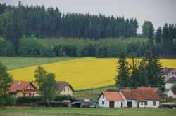 Campagne intorno a holasovice