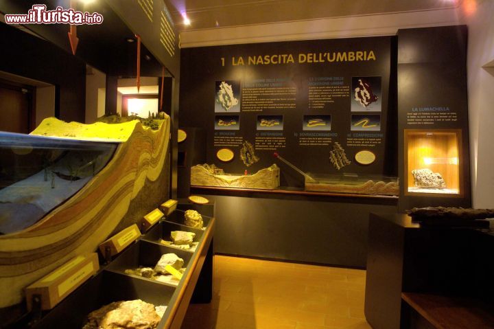 Immagine La sala dedicata all'Umbria, una delle sale che si incontra durante la visita del museo Geolab di San Gemini