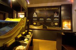 La sala dedicata all'Umbria, una delle sale che si incontra durante la visita del museo Geolab di San Gemini