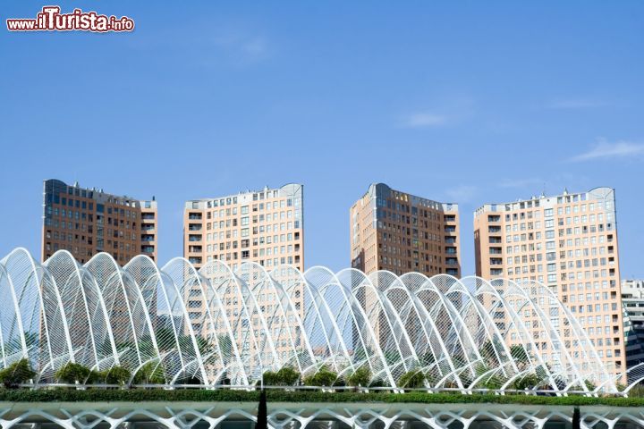 Immagine La Città delle Arti e delle Scienze è stata realizzata all'interno dei Giardini del Turia, uno spazio verde circondato dai palazzi e dalle case di Valencia (Spagna) - foto © Rob Wilson / Shutterstock.com