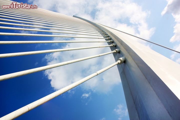 Immagine Un particolare di una struttura del complesso della Città delle Arti e delle Scienze di Valencia (Spagna), opera di Santiago Calatrava - foto © elena castaldi viora / Shutterstock.com