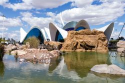 Un'immagine dell'Oceanografic di Valencia (Spagna), alle spalle del laghetto presso la Città delle Arti e delle Scienze - foto © Jose Luis Vega / Shutterstock.com
