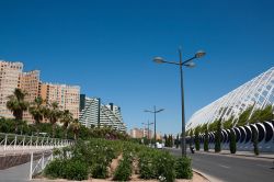 Valencia: la strada che costeggia la l'Umbracle e la Città delle Arti e delle Scienze, la più importante opera di Santiago Calatrava nella sua città - foto © baldovina ...
