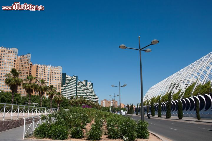 Immagine Valencia: la strada che costeggia la l'Umbracle e la Città delle Arti e delle Scienze, la più importante opera di Santiago Calatrava nella sua città - foto © baldovina / Shutterstock.com