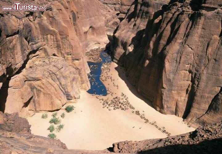 Altopiano dell'Ennedi: paesaggio naturale e culturale - Ciad
L'erosione di vento e acque ha scavato l'altipiano donando un panorama fatto di canyon e vallate intercalate da scogliere e archi naturali. L'acqua è fondamentale per garantire la vita in generale. Le immagini scolpite nelle rocce di grotte, canyon e ripari rappresentano uno dei più importanti esempi di arte rupestre presente in questa sezione del Sahara che corrisponde al Ciad settentrionale. Un particolare in più che rende l'area ancora più interessante e suggestiva.
