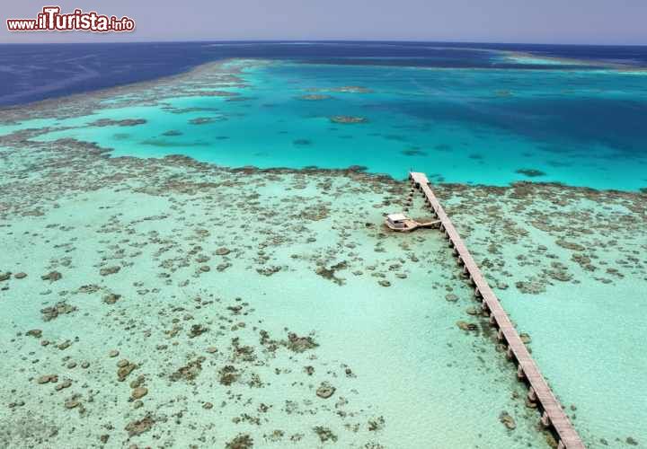 Parco Nazionale Sanganeb Marine e Dungonab Bay – Parco Marino Nazionale dell'Isola Mukkawar - Sudan
Il sito si compone di due aree distinte, quella di Sanganeb, unico atollo corallino a 25 km dalla costa del Sudan nel Mar Rosso e quella formata dalla baia di Dungonab e dall'isola di Mukkawar, a 125 km a nord di Port Sudan. L'intera zona è preziosa per le sue caratteristiche naturali che alla barriera corallina, al paesaggio ricco di mangrovie, spiagge e isole affiancano un ricco habitat composto da uccelli e mammiferi marittimi, squali, tartarughe, mante ed una comunità piuttosto importante di dugonghi, una specie marina simile al lamantino.