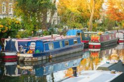 Le barche colorate di Little Venice, Londra ovest, Paddington