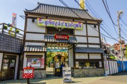 Il parco divertimenti di Hanayashiki si trova nel quartiere di Asakusa a Tokyo. Nonostante le piccole dimensioni è apprezzato dai turisti - © Korkusung / Shutterstock.com 