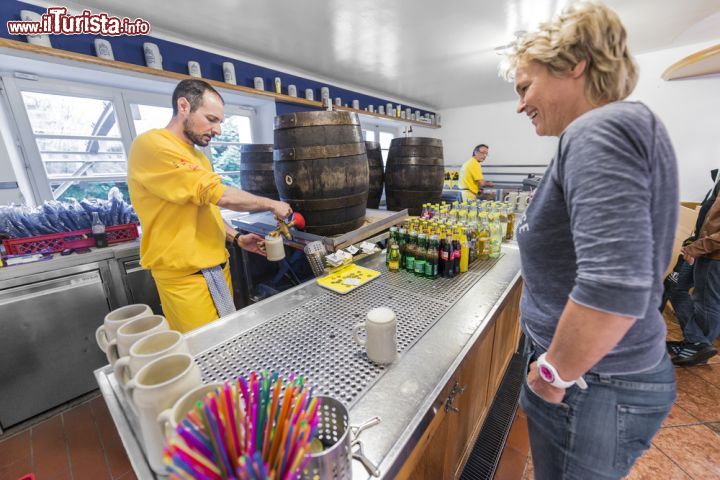 Immagine Ogni anno vengono serviti 12 mila ettolitri di birra fatta in modo tradizionale, con diverse tipologie di birra a seconda del periodo dell'anno - © Anibal Trejo / Shutterstock.com