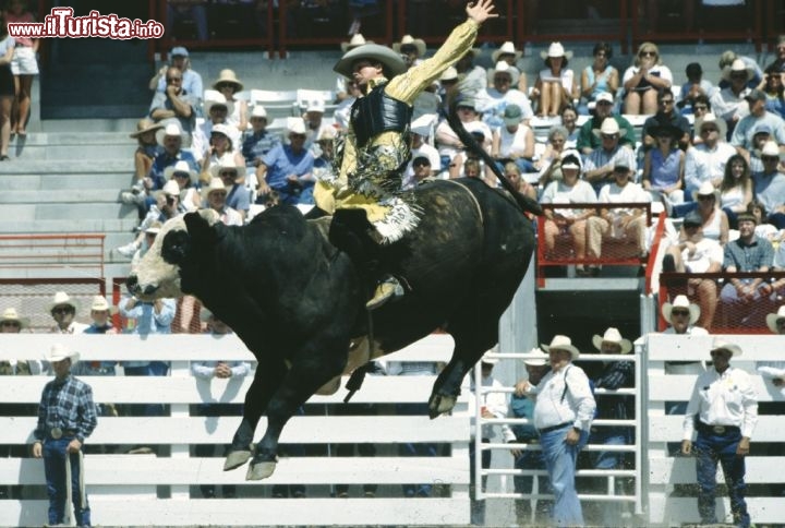 Un tipico rodeo nel Wyoming durante i Cheyenne Frontier Days. Credit: Jack Acrey