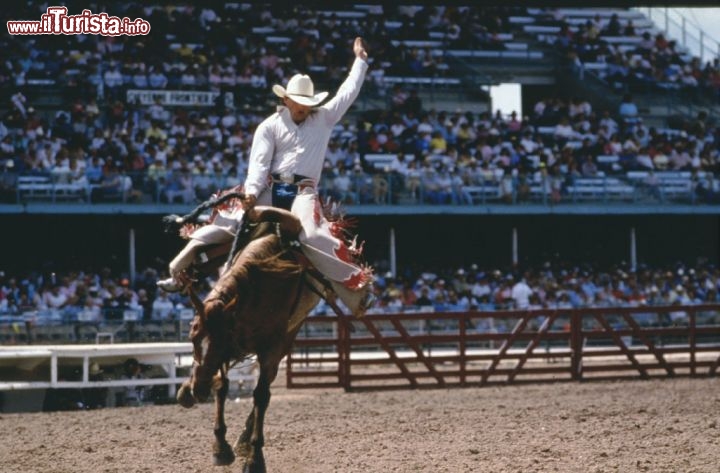 in Wyoming si svolgono numerosi Rodeo durante l'anno. Credit: Jack Acrey