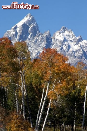 Parco Nazionale Grand Teton nel Wyoming. Credit: www.markgocke.com