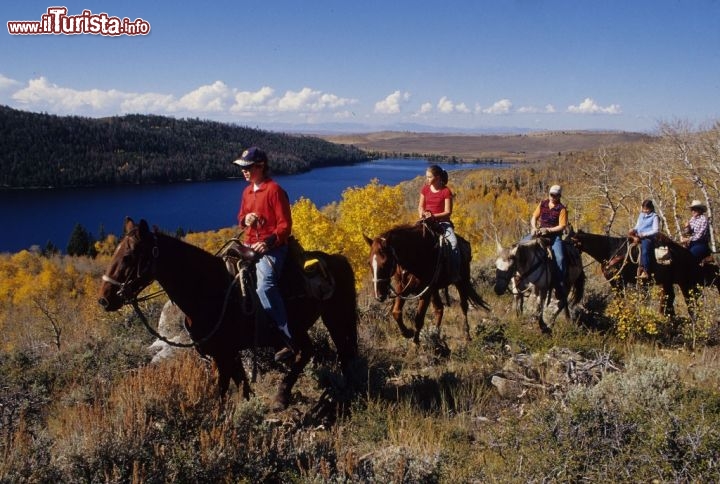 Wyoming percorso a cavallo tra i sentieri dello stato americano, vicino a Half Moon Lake. Credit: Fred Pflughoft