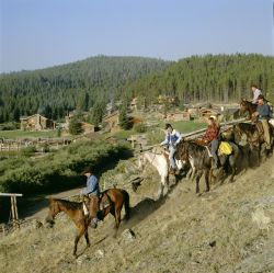 Wyoming: cavalli per un escursione intorno al ...