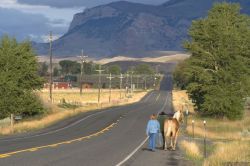 Cavallo lungo una highway del Wyoming. Credit: ...