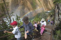 Canyon dello Yellowstone: trekking tra i sentieri ...