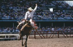 in Wyoming si svolgono numerosi Rodeo durante ...