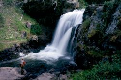 Pesca in Wyoming nei pressi la piccola cascata ...