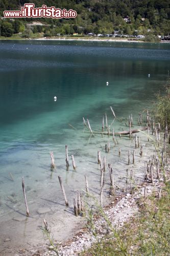 Immagine I resti di alcune palafitte sulle rive del lago di Ledro: eletti Patrimonio dell'umanità UNESCO possono essere bene compresi visitando il Museo delle Palfitte di Molina di Ledro in TRentino