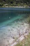 I resti di alcune palafitte sulle rive del lago di Ledro: eletti Patrimonio dell'umanità UNESCO possono essere bene compresi visitando il Museo delle Palfitte di Molina di Ledro in ...