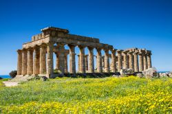 Il tempio di Hera o tempio E una delle meraviglie del parco archeologico di Selinunte in Sicilia