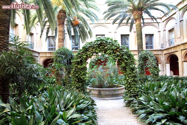 Immagine Giardino e chiostro facente parte del complesso del Museo  San PIO V, il museo delle belle Arti di Valencia, in Spagna