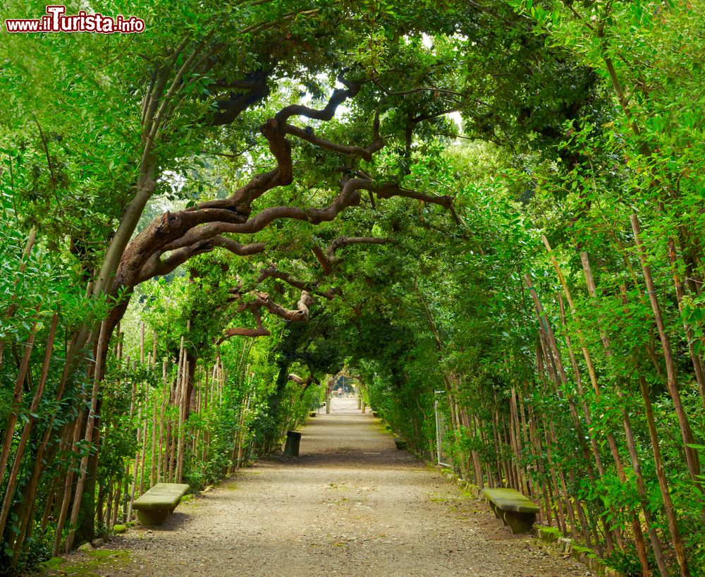 Immagine Galleria verde ai giardini Boboli di Firenze, Italia. E' una delle tappe fondamentali per chi desidera immergersi nella storia più autentica  di Firenze.