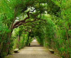 Galleria verde ai giardini Boboli di Firenze, Italia. E' una delle tappe fondamentali per chi desidera immergersi nella storia più autentica  di Firenze.
