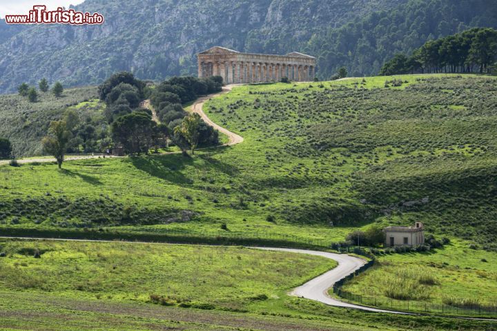 Immagine L'Area Archeologica di Segesta, fotografata all'inizio della primavera, Sicilia