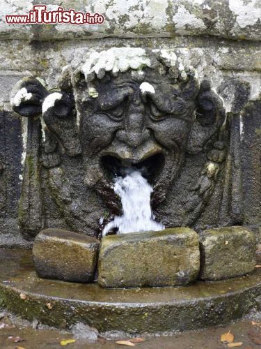 Immagine Un particolare della fontana chiamata il Cardinale a Villa lante, nel Lazio