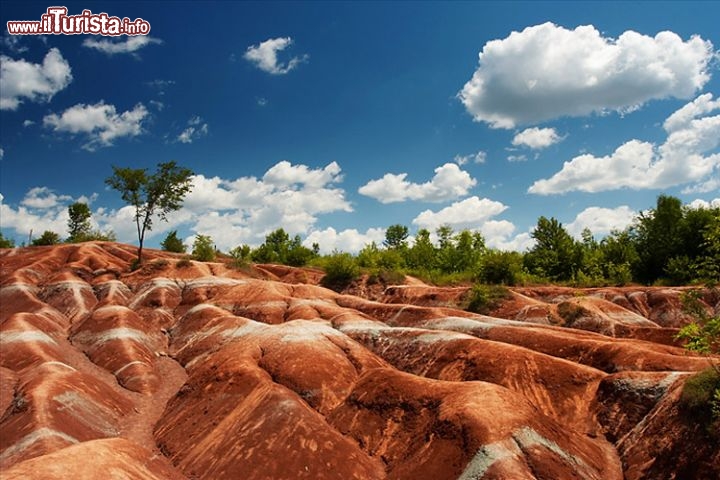 Cheltenham Badlands, Canada - Si trovano nella Provincia dell'Ontario, nel cuore del Canada, e si tratta di particolari forme di calanchi, rese spettacolari dalla presenza di ossidi di ferro, che forniscono delle tinte colorate. ironia della sorte, questo luogo alieno si formò negli anni '30 a causa di un uso poco razionale del terreno, da parte degli agricoltori della zona, che innescarono i processi erosivi. Il dilavamento successivo ha portato alla formazione delle Badlands. I calanchi sono loro stessi delicati, è consigliabile non camminare su di esse e fare delle fotografie da distanza, altrimenti questo spettacolo di rocce e colori è destinato, prima o poi, a scomparire.