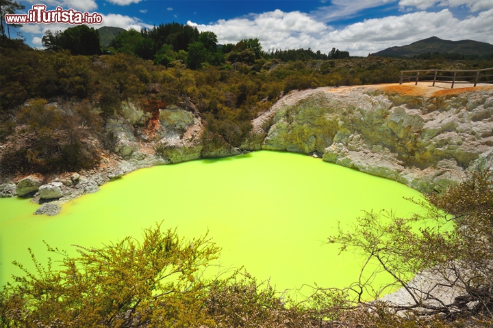 Cratere Devil's Bath a Wai-O-Tapu, Rotorua, Nuova Zelanda - l colore incredibile di questa pozza d'acqua è una conseguenza del mescolamento delle acque con sali di zolfo e di ferro, bene abbondanti in questo campo geotermale dell'Isola del Nord della Nuova Zelanda. A seconda dell'ora del giorno, dell'inclinazione dei raggi solari, dello stato del cielo (se sereno o nuvoloso) la tonalità del lago può variare dal verde al giallo, con colori più o meno saturi a seconda del periodo della stagione, e della prevelanza del ferro (verde) rispetto allo zolfo (giallo). Ci troviamo dentro ad una caldera, quella di Reporoa, che si è formata oltre 200.000 anni fa.
