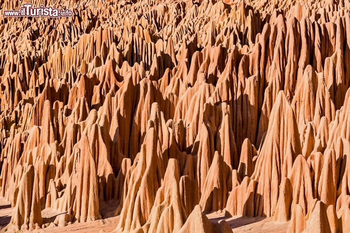 Tsingy Rossi di Antsiranana, baia Diego Suarez, Madagascar - Non siamo su Marte, ma ci troviamo sulle coste spetttacolari della grande isola dell'oceano Indiano! Queste particolari rocce. rosse, chiamate dai geologi Lateriti, hanno una composizione argillosa e sormontano degli strati più duri di arenaria. Durante le forti piogge tropicali, che si verificano durante il monsone umido del Madagascar, le argille subiscono una forte e particolare erosione, creando queste ripide lame di roccia color mattone. L'aspetto ricorda un po' quello del Bryce Canyon americano, anche se  qui non si tratta certo di erosonione glaciale. Le rocce sono fragili, quindi se vi recate sul posto attenzione a non toccarle: eventuali danni accellerebbero il tasso di erosione, distruggendo questo sito davvero particolare! - © Pierre-Yves Babelon / Shutterstock.com