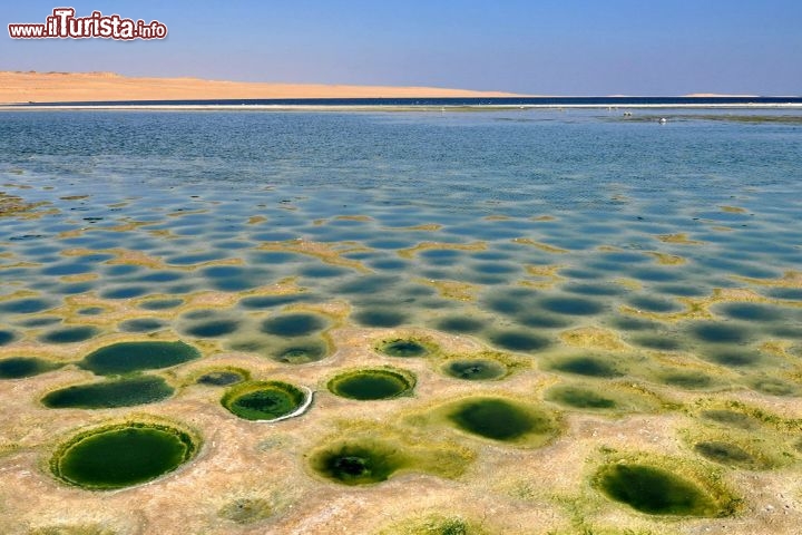 Birket Qarum, o Lago Moeris, Egitto -  La sponda settentrionale del lago Qarum in Egitto, riserva delle strane sorprese. Oltre che per la presenza di grandi massi sferici, dissiminati a gruppi sulla riva, di cui si ignora l'origine, la costa presenta degli strani buchi nel fango, che rendono il paesaggio davvero alieno. Anche qui non ci sono spiegazioni su come si sia creato questo reticolato di fori: sono piuttosto regolari e nelle zone emerse della spiaggia vengono utilizzati come nidi dai gabbiani, ma è improbabile che siano stati creati dagli uccelli. Ci troviamo ad ovest del Nilo, all'inizo del deserto occidentale dell'Egitto, a 43 metri sotto al livello del mare. Per vedere il lago Qarum, e questi strani luoghi, potete partecipare ad un Tour del Deserto Misterioso, cliccate qui per maggiori informazioni.