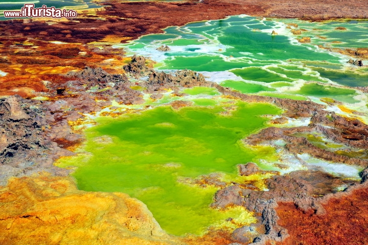 Vulcano Dallol in Dancalia, Etiopia  - Questo luogo davvero straordinario venne conosciuto durante l'epoca coloniale, dato che presenta delle sorgenti termali e geyser, e qui si depositano croste di minerali di magnesio, sodio e potassio, molto pregiati. I vari strati di minerali formano delle colorazioni molto intense, che rendono questo luogo particolarmente suggestivo. Il vulcano Dallol, nell'Etiopia orientale, è però un luogo infernale: è la località più calda di tutto il pianeta, almeno come temperatura media annuale, che non scende mai al di sotto dei 35°C. Basti pensare che la minima record è stata di 24°C ma di solito i valori minimi rimangono al di sopra dei 30°C, e le massime possono raggiungere i 46 °C - © Matej Hudovernik /Shutterstock.com