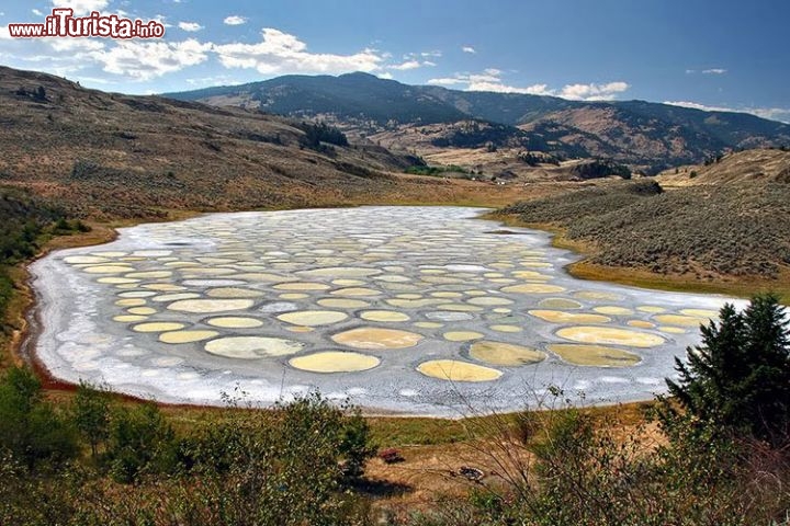 Il lago Kliluk a Osoyoos, Canada - E' chiamato anche come il Lago Macchiato (Spotted Lake) e si trova in Canada, non molto distante dal confine con gli Stati Uniti d'America, più precisamente in British Columbia che confina con lo stato di Washington. Nella stagione secca si formano queste specie di occhi, che hanno colori diversi a seconda della diversa concentrazione di minerali. Il nome indiano di Kliiluk indica una proprietà terapeutica delle sue acqua, cosa che non sorprende in considerazione della presenza di numerosi sali minerali.