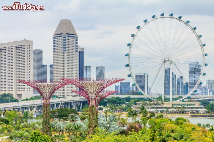Immagine I Singapore Supertrees e la ruota panoramica The Flyer
