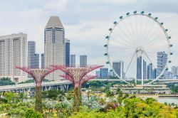 I Singapore Supertrees e la ruota panoramica The Flyer