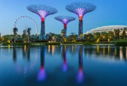 La ruota di Singapore e gli alberi artificiali dei Gardens By The Bay