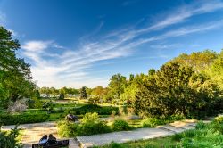 Relax nel polmone verde di Bucarest, il parco di Herastrau nel centro della città - © Radu Bercan / Shutterstock.com 
