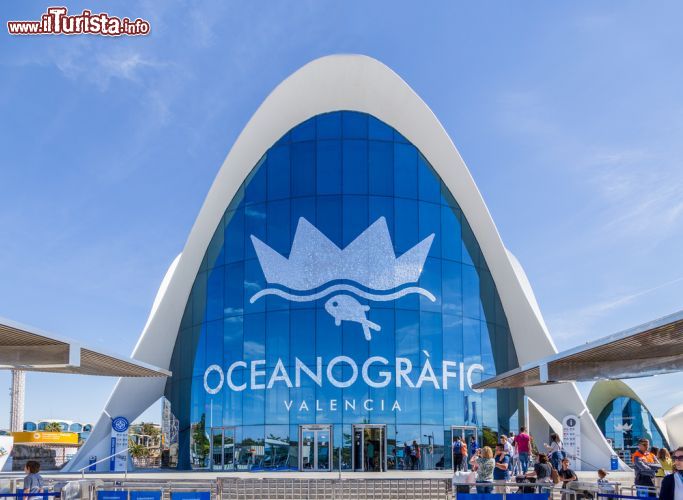 Immagine Il Parco Oceanografico, la sinuosa architettura di Félix Candela si trova nella Città della Scienza di Valencia - © Jose Luis Vega / Shutterstock.com