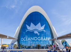 Il Parco Oceanografico, la sinuosa architettura di Félix Candela si trova nella Città della Scienza di Valencia - © Jose Luis Vega / Shutterstock.com 
