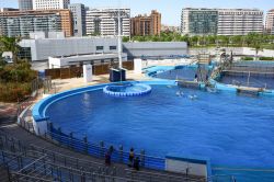 Panorama della grande vasca del Parco Oceanografico di Valencia (Spagna) - © punghi / Shutterstock.com 